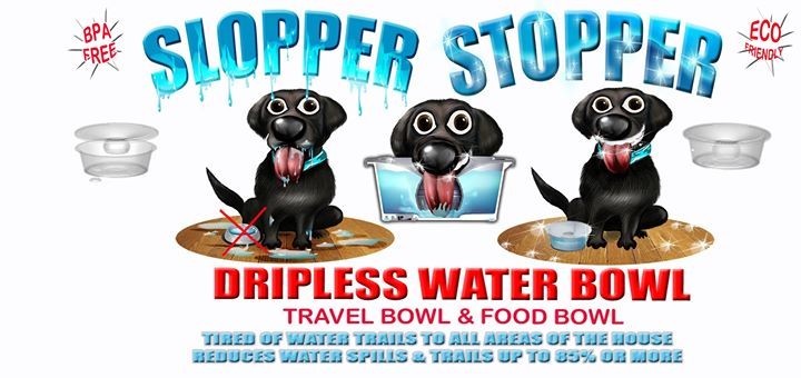 Slopper Stopper Dripless Water Bowl