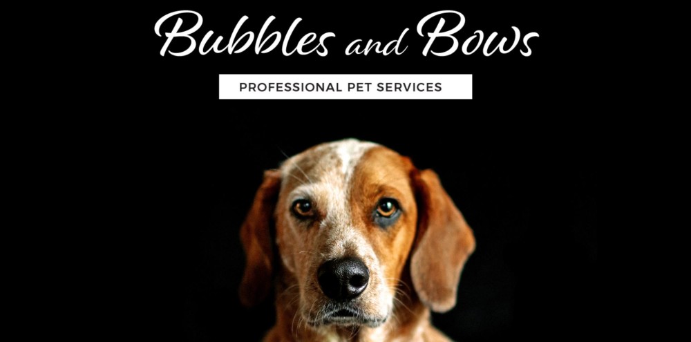 Bubbles Pet Services