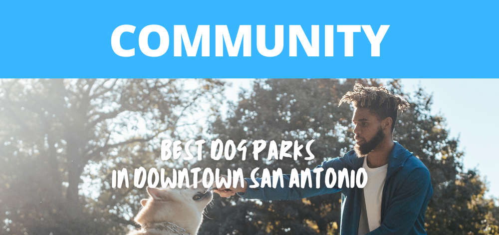 Best Dog Parks in Downtown San Antonio - Parkbench