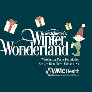 Westchester S Winter Wonderland Parkbench