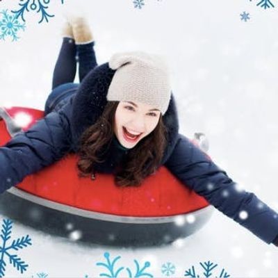 Winter Fest Oc 2019 2020 Parkbench