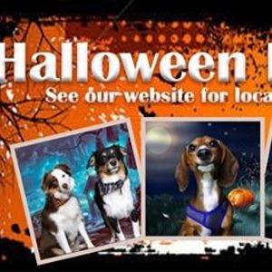 Pet Pantry Lancaster Pa Pet Pantry Of Lancaster County Pa Pet