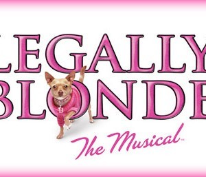 Oh My God You Guys Legally Blonde 98
