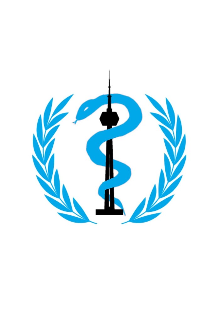 2023 York University World Health Assembly Simulation Conference