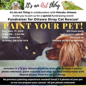 Ottawa Stray Cat Rescue Fundraiser Parkbench