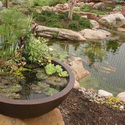 Diy Patio Pond Seminar Parkbench