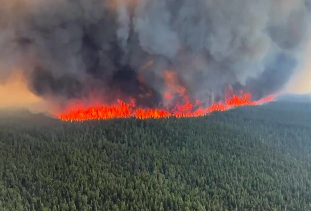 Wildfire Evacuation Order Lifted For Residents Of Tumbler Ridge Parkbench