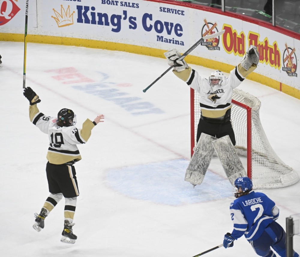 Minnesota girls high school hockey state tournament bracket Parkbench