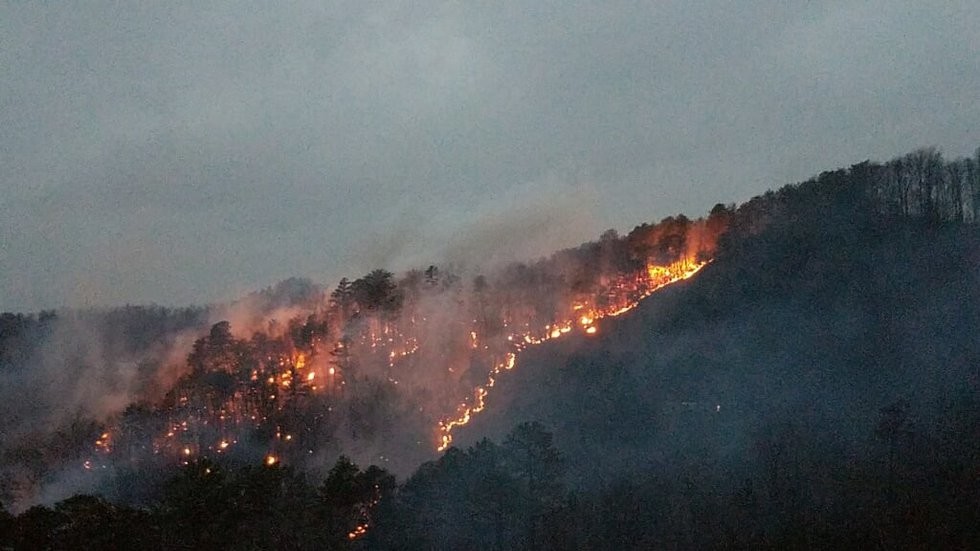 Evacuation lifted from Pine Mountain Fire in Pigeon Parkbench