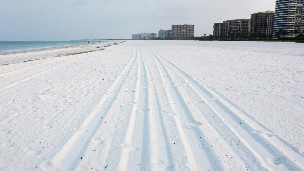 Marco Island News Parkbench