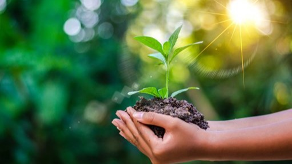 Earth Day 2023 Events happening around Sacramento to celebrate
