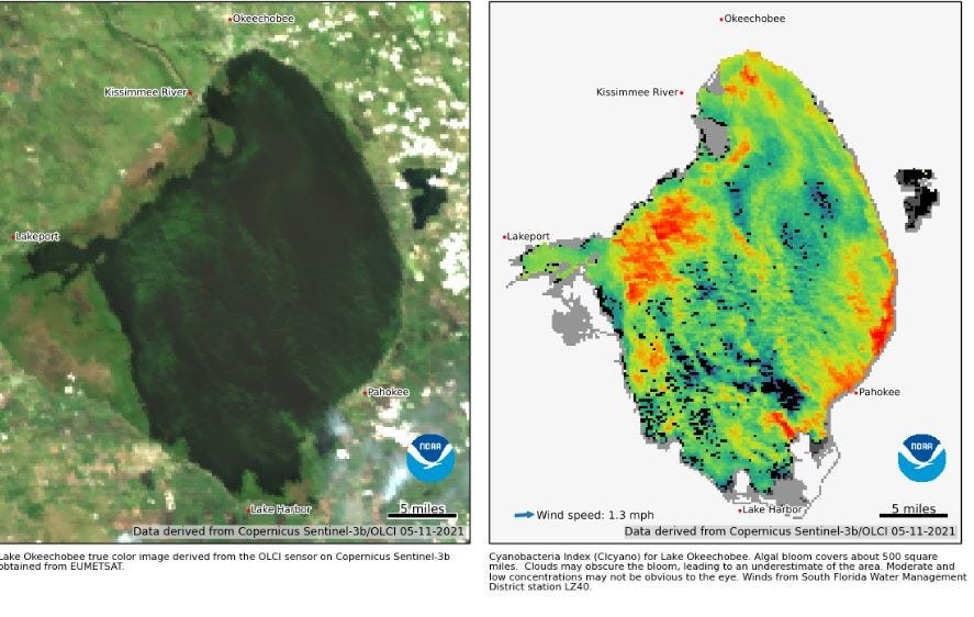 These 32 drainage basins exceed Florida’s BMAP nutrient pollution limits - Parkbench