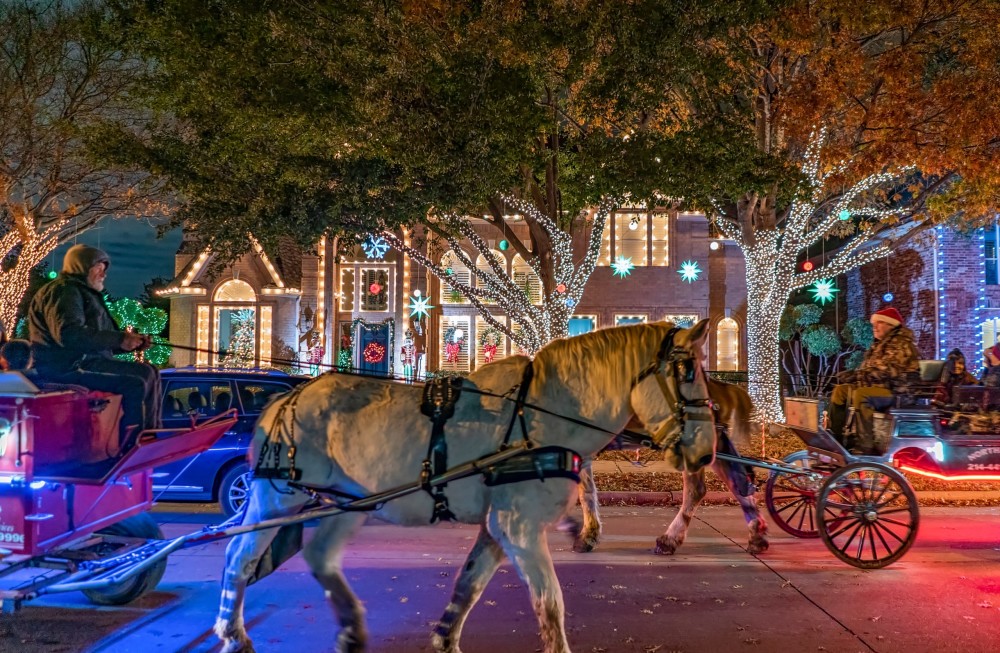 christmas-lights-at-deerfield-plano-by-horse-drawn-carriage-parkbench