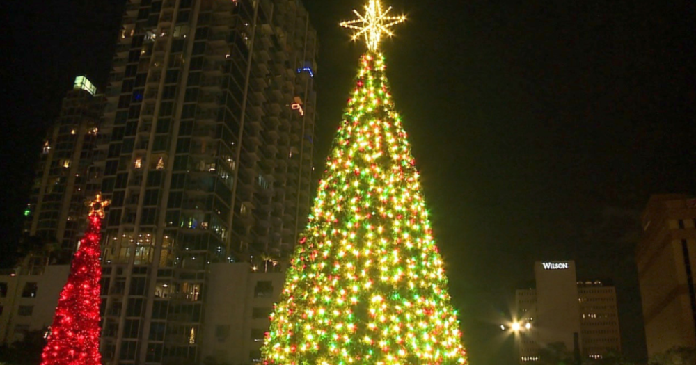 Santa Fest Tree Lighting takes on Curtis Hixon Park Parkbench
