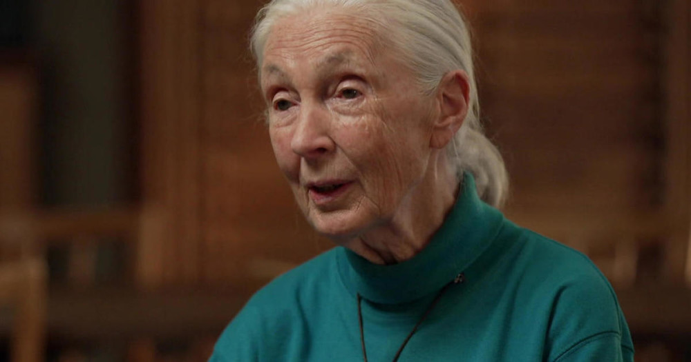 Jane Goodall on her hope for the future - Parkbench