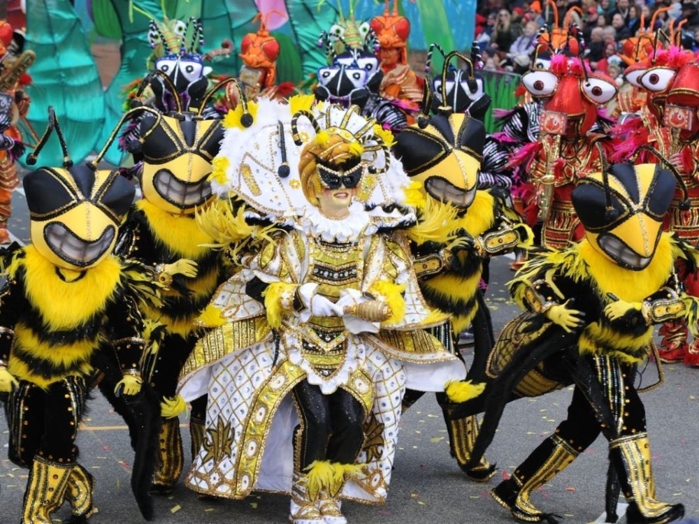 See Road Closures, Parking Restrictions For 2024 Mummers Parade Parkbench