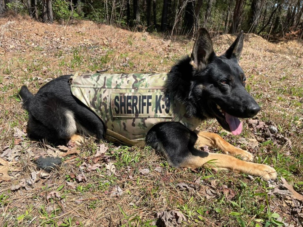 New Kent Sheriffs Office K9 Receives Donation Of Body Armor Parkbench