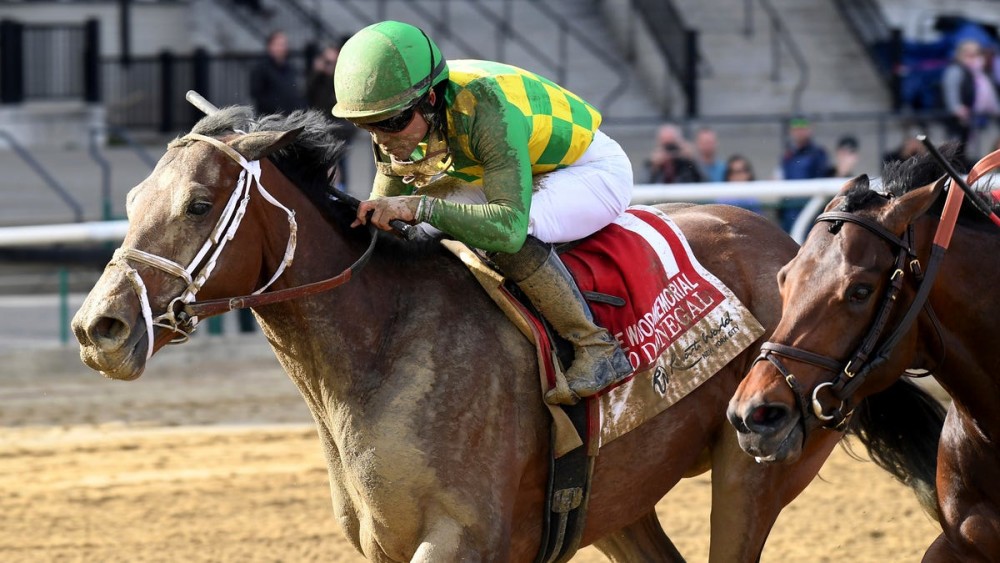 Mo Donegal What to know about the 2022 Kentucky Derby horse Parkbench