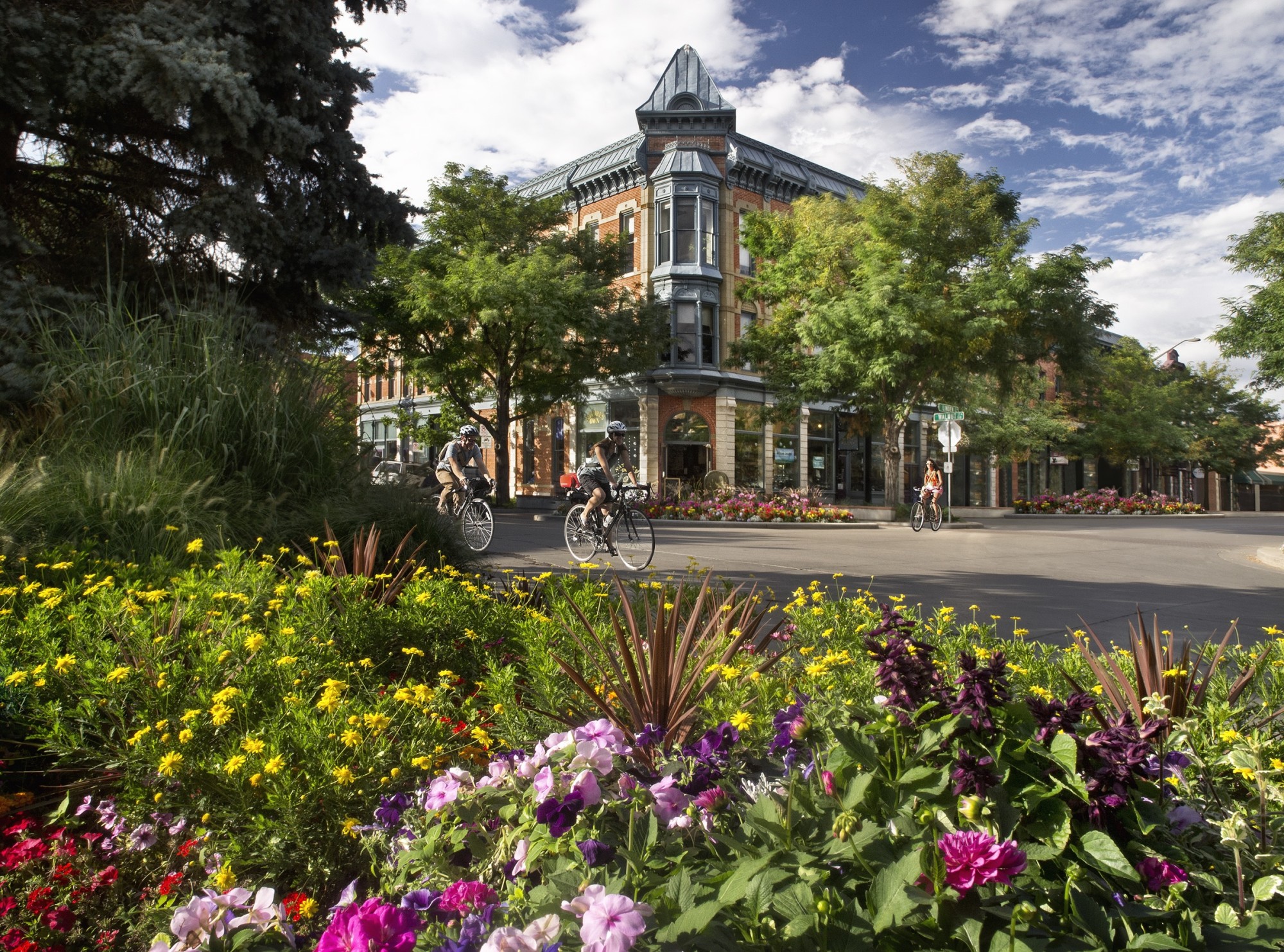 Scorts Fort Collins