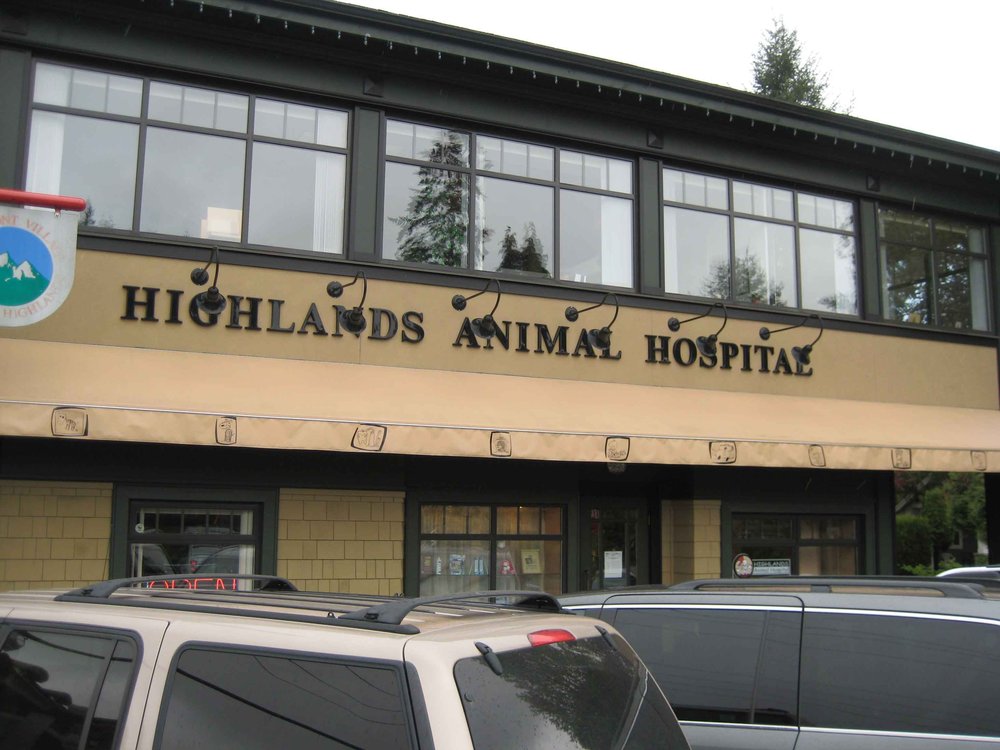 43 Top Photos Highland Pet Hospital Reviews / Highland Pet Hospital and Wellness Center » Feline Pandora ...