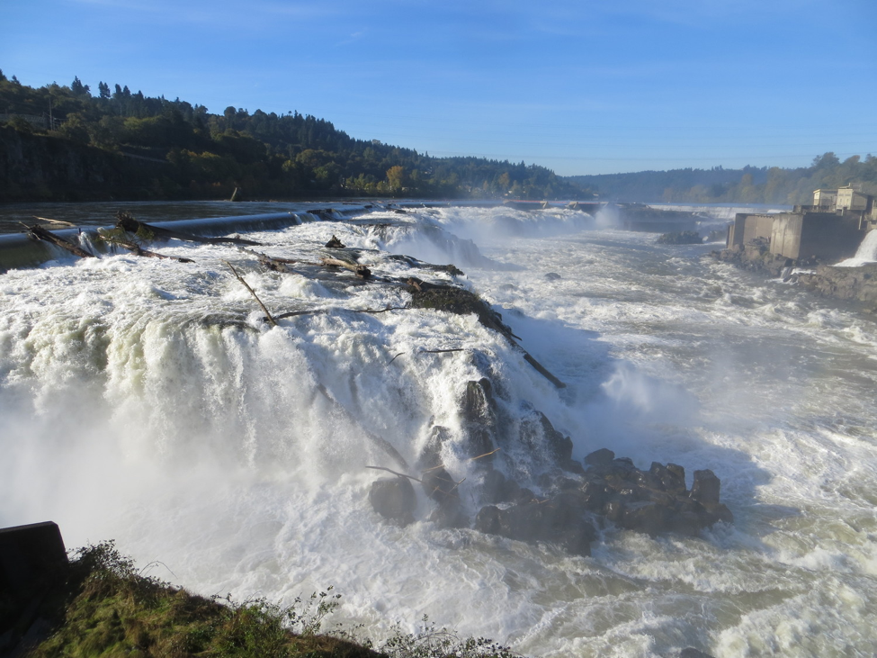 Oregon City Neighborhood Guide - Parkbench