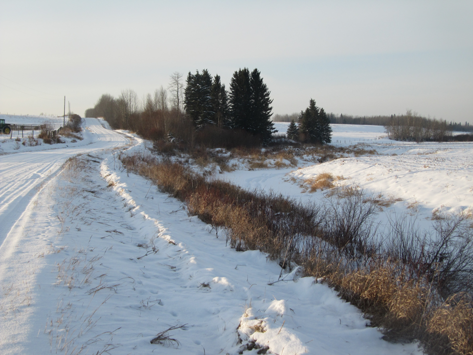 Redwater, Alberta Neighborhood Guide Parkbench