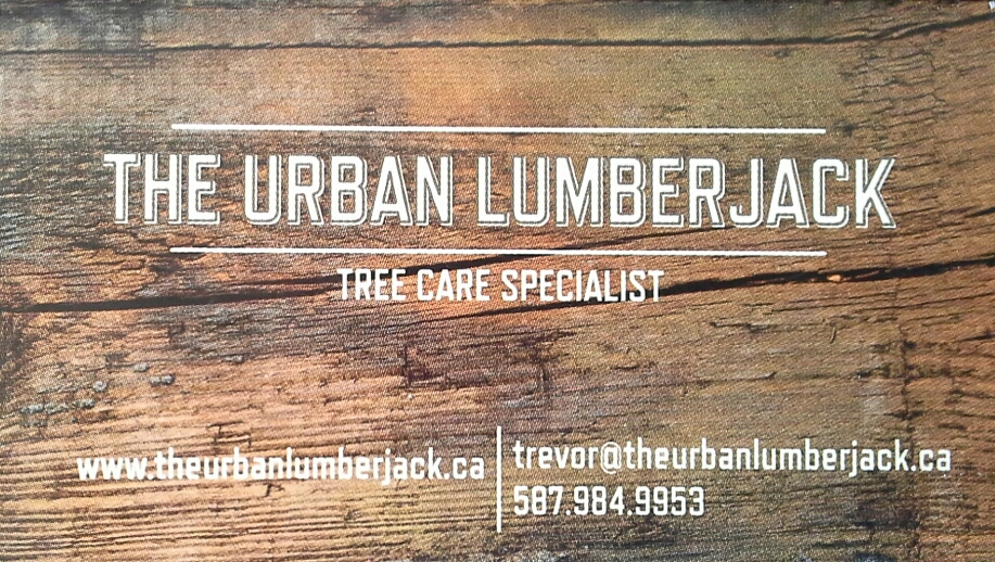 urban lumberjack tree service