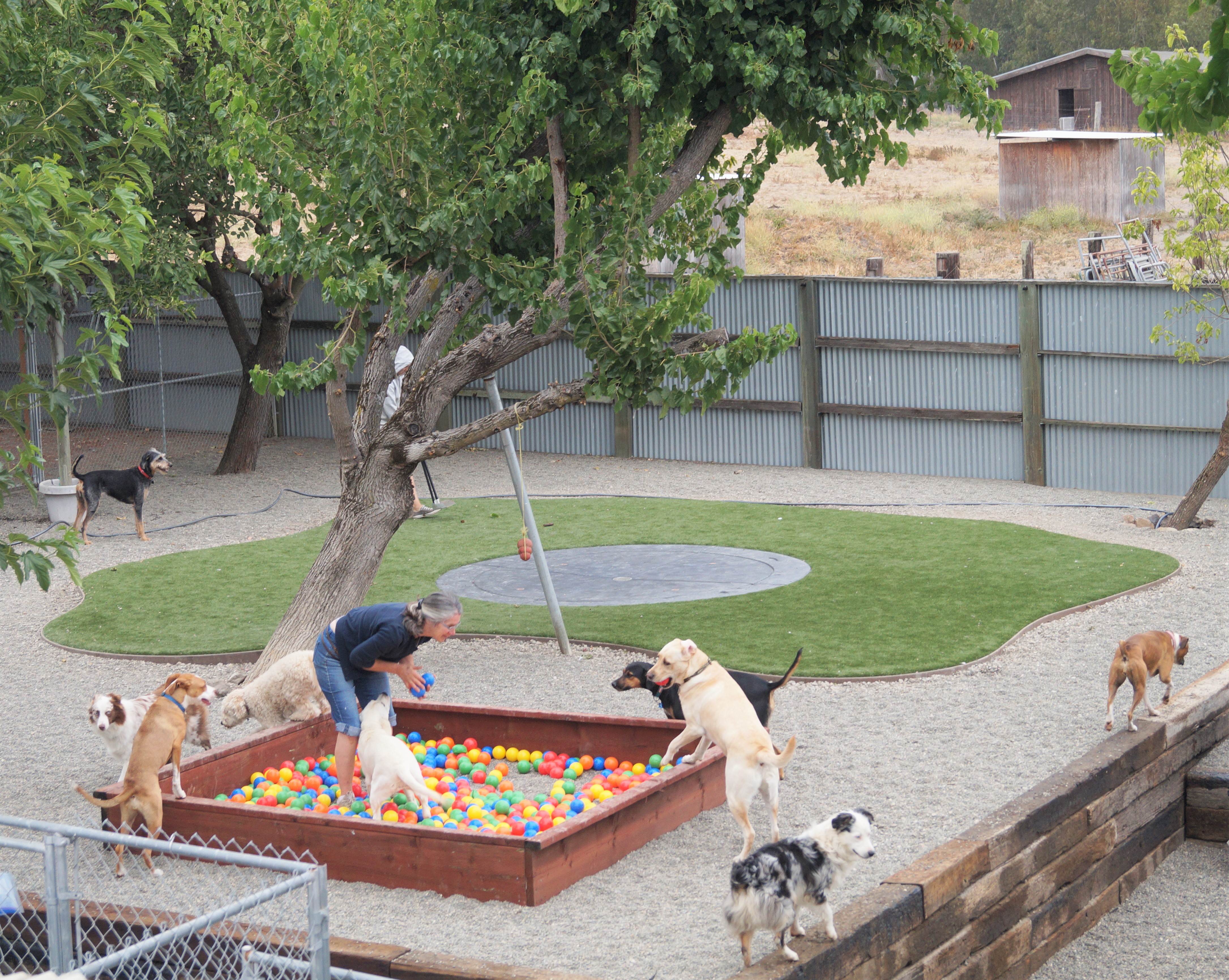 the ranch kennel